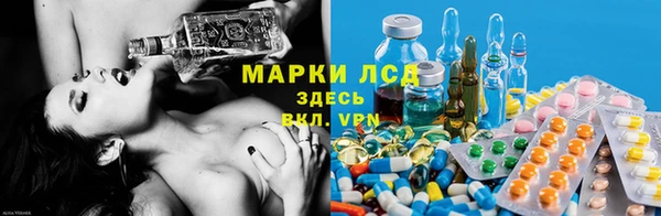 хмурый Верея