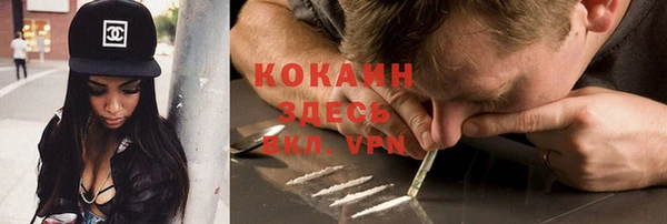 хмурый Верея