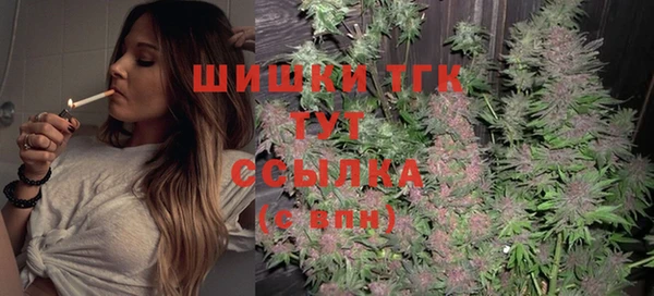 хмурый Верея