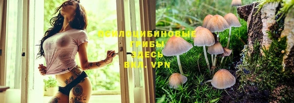 молекула духа Верхнеуральск