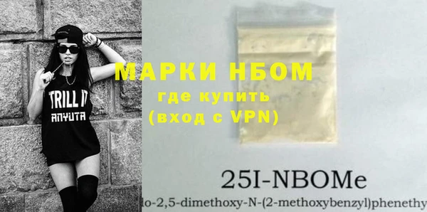 хмурый Верея