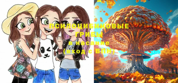хмурый Верея